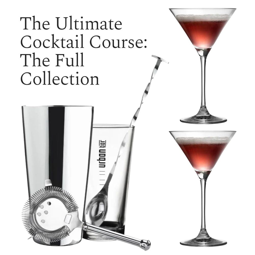 Cocktail Kit and Martini Ultimate Gift Experience