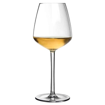 Iris Shatterproof Plastic Wine Glass 50cl