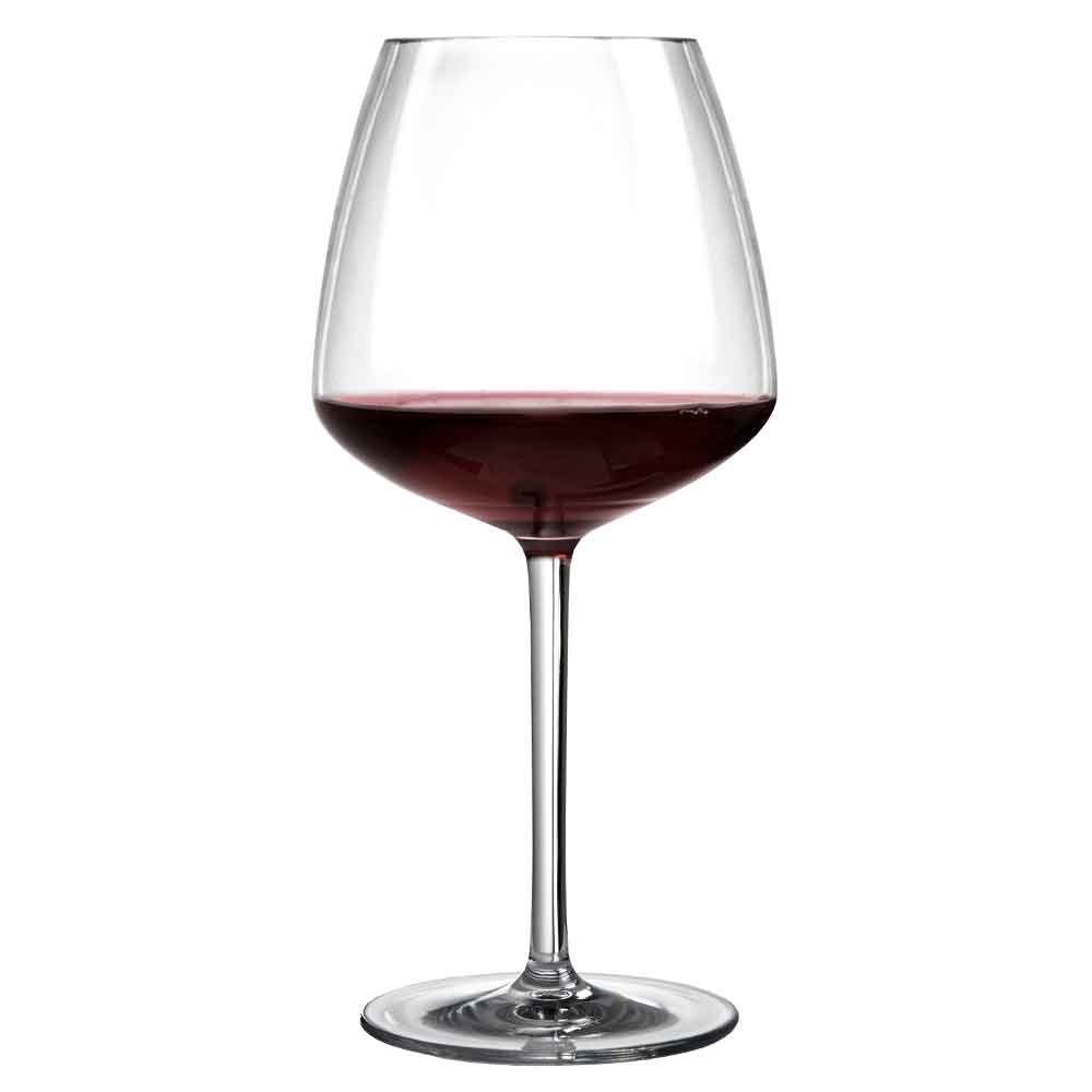 Iris Shatterproof Plastic Wine Glass 76cl