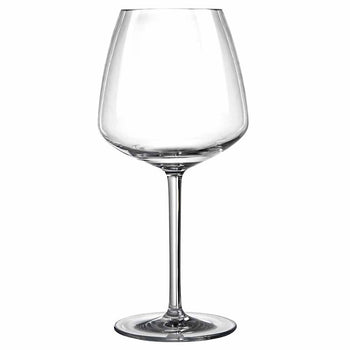 Iris Shatterproof Plastic Wine Glass 76cl